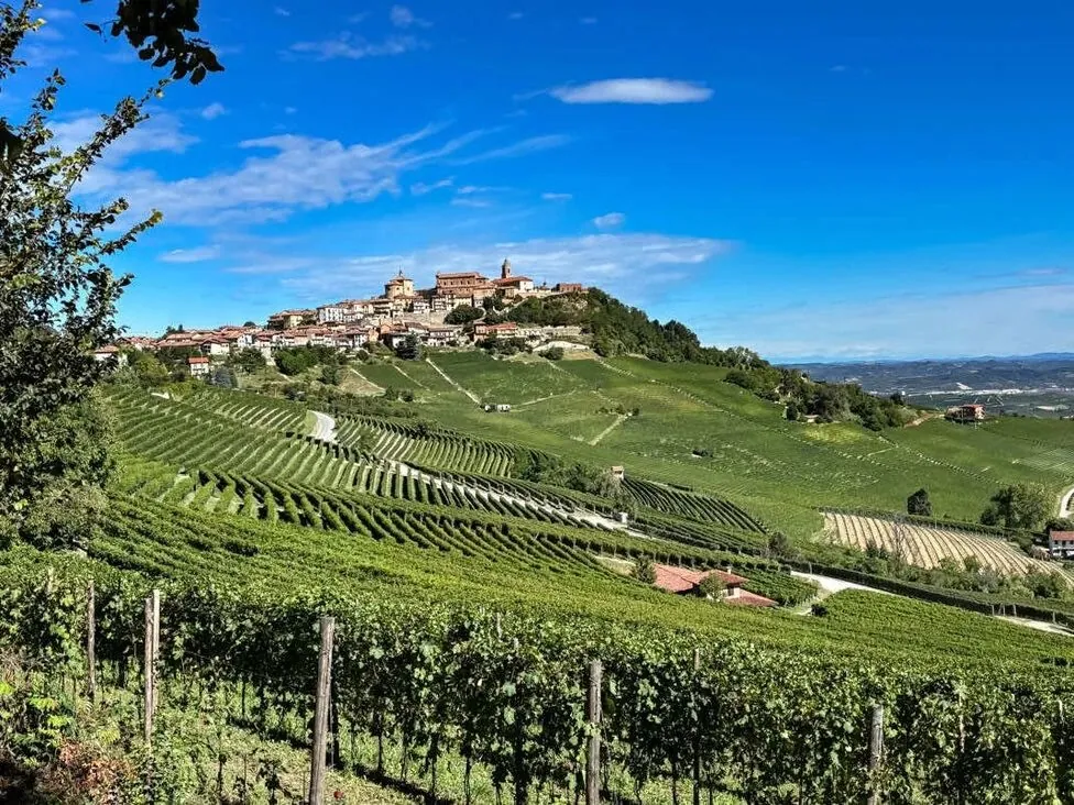 Colline e vigneti del paesaggio piemontese